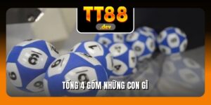 Tổng 4 gồm những con gì